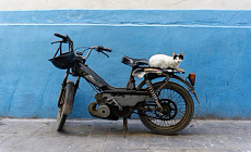 More than 8.5 thousand mopeds registered in Kazakhstan